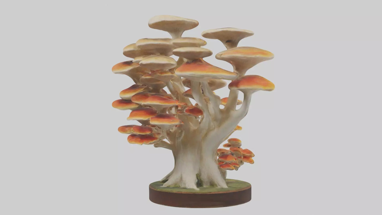 3D model Branching Fungi Sculpture model VR / AR / low-poly