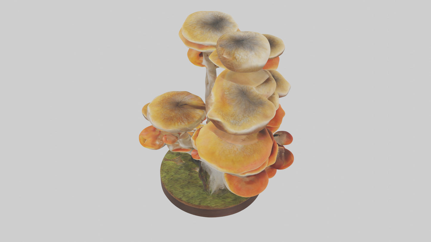 3D model Branching Fungi Sculpture model VR / AR / low-poly