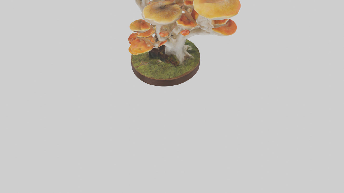 3D model Branching Fungi Sculpture model VR / AR / low-poly