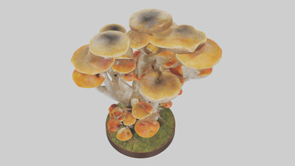 3D model Branching Fungi Sculpture model VR / AR / low-poly