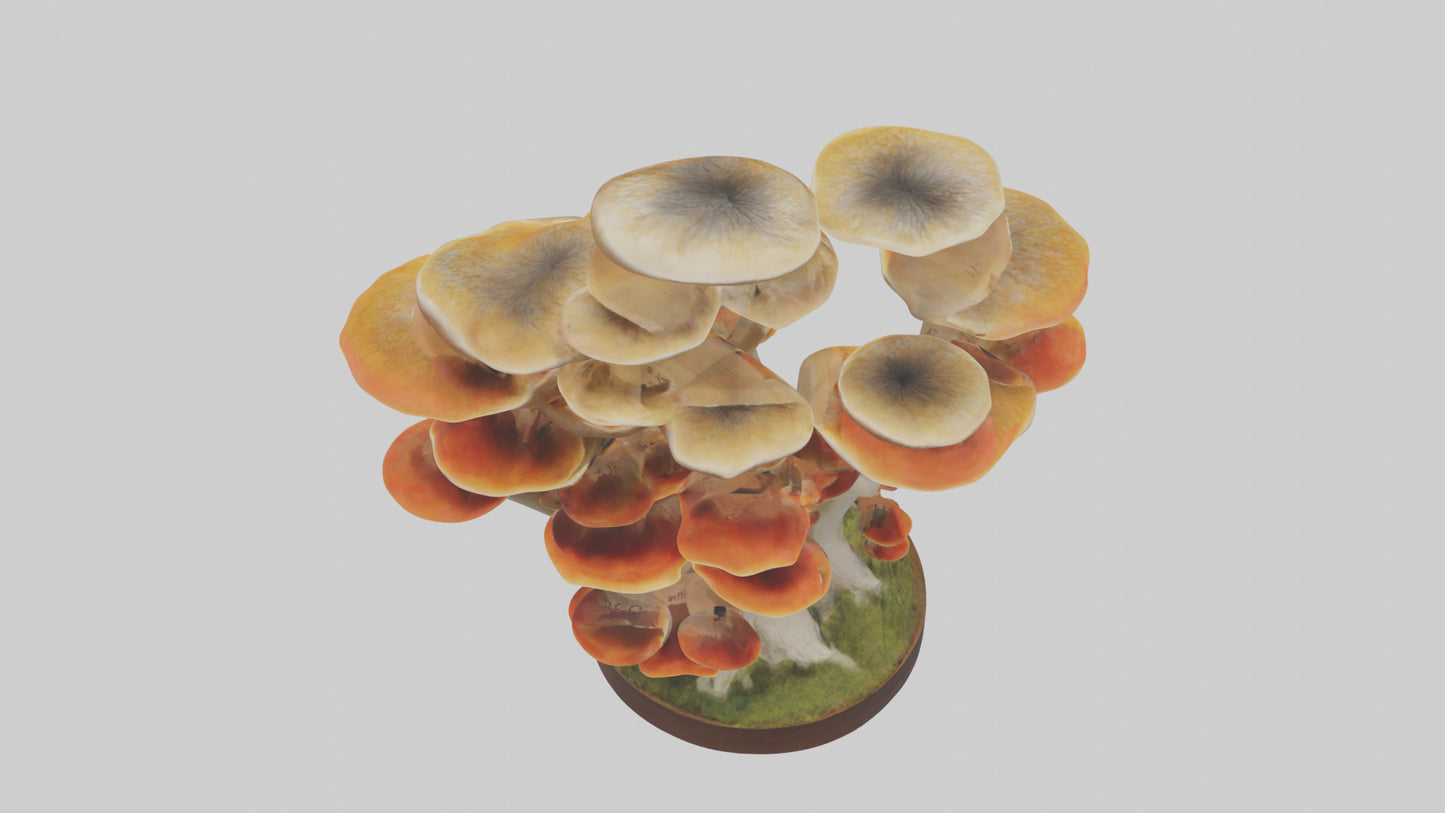 3D model Branching Fungi Sculpture model VR / AR / low-poly