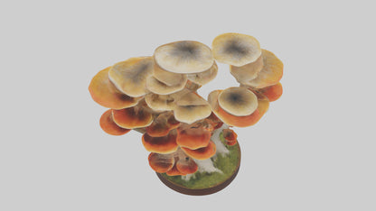 3D model Branching Fungi Sculpture model VR / AR / low-poly