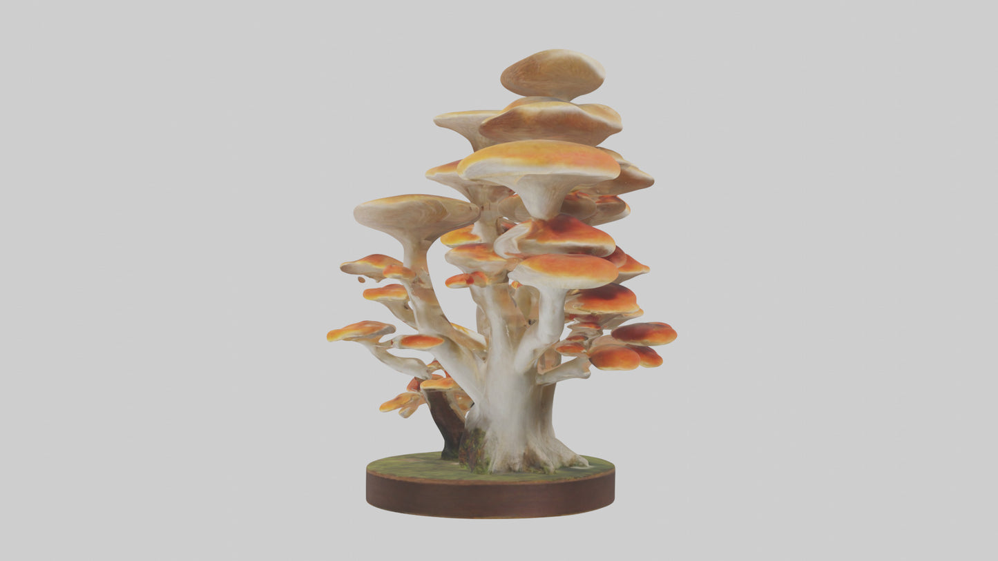 3D model Branching Fungi Sculpture model VR / AR / low-poly