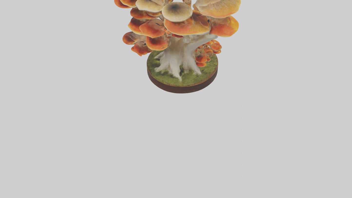 3D model Branching Fungi Sculpture model VR / AR / low-poly