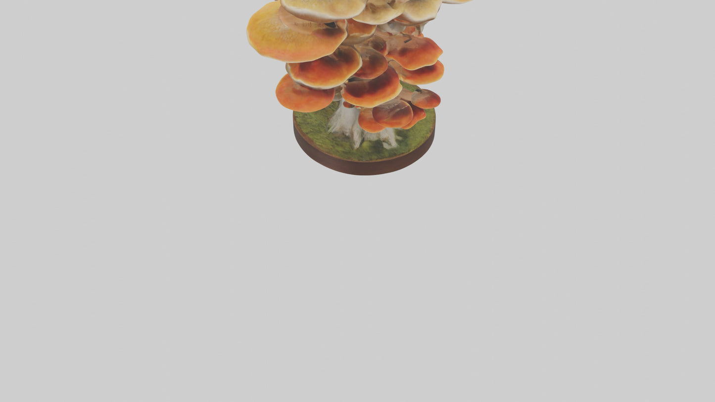 3D model Branching Fungi Sculpture model VR / AR / low-poly