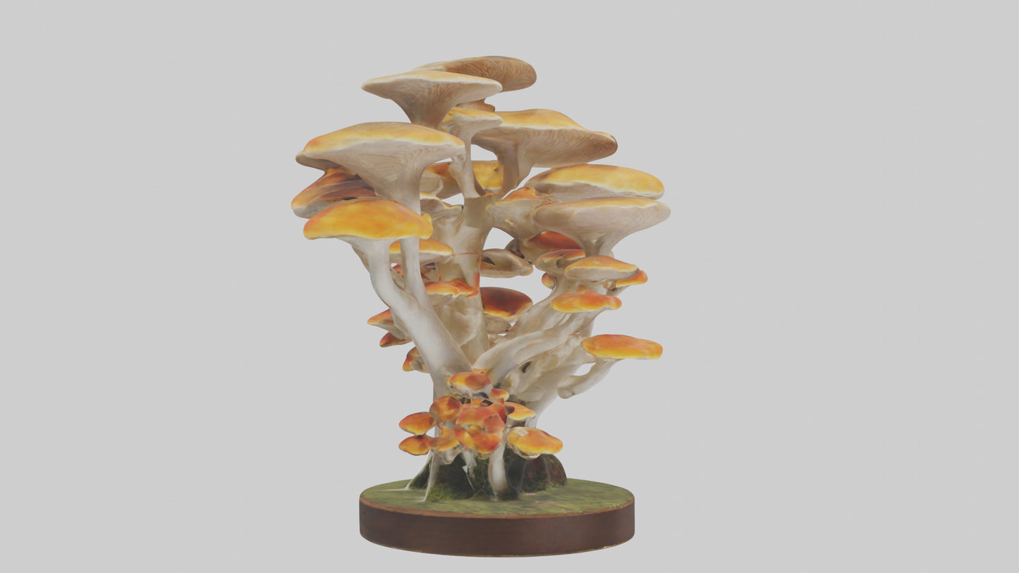 3D model Branching Fungi Sculpture model VR / AR / low-poly