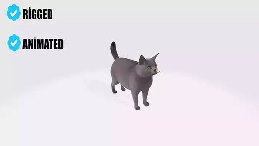 British Shorthair Fat Cat Model Animated and Rigged 3D model animated rigged