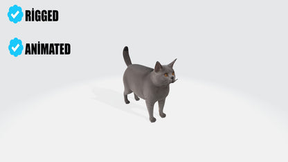 British Shorthair Fat Cat Model Animated and Rigged 3D model animated rigged