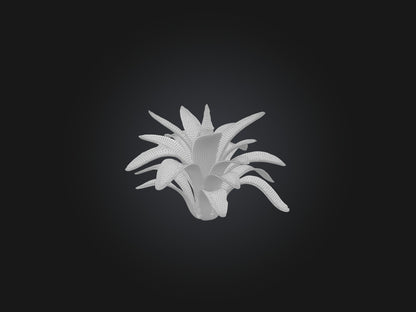 3D model Bromeliad Model VR / AR / low-poly