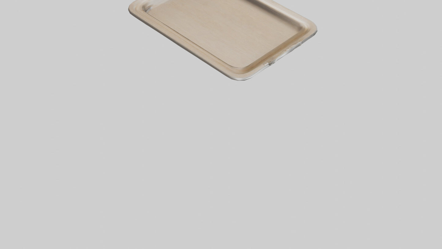 3D model Buffalo wings model VR / AR / low-poly