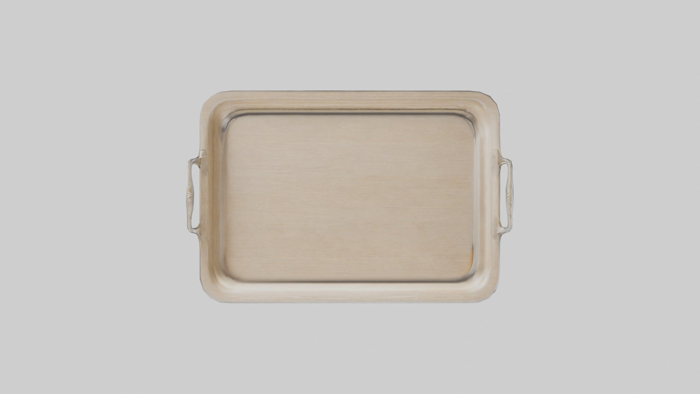 3D model Buffalo wings model VR / AR / low-poly