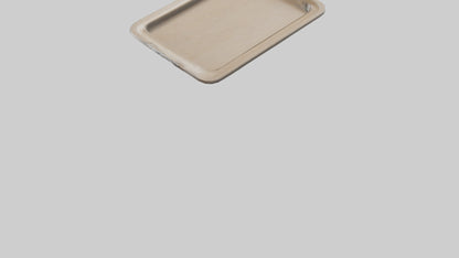 3D model Buffalo wings model VR / AR / low-poly