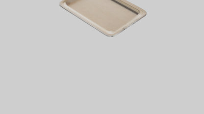 3D model Buffalo wings model VR / AR / low-poly