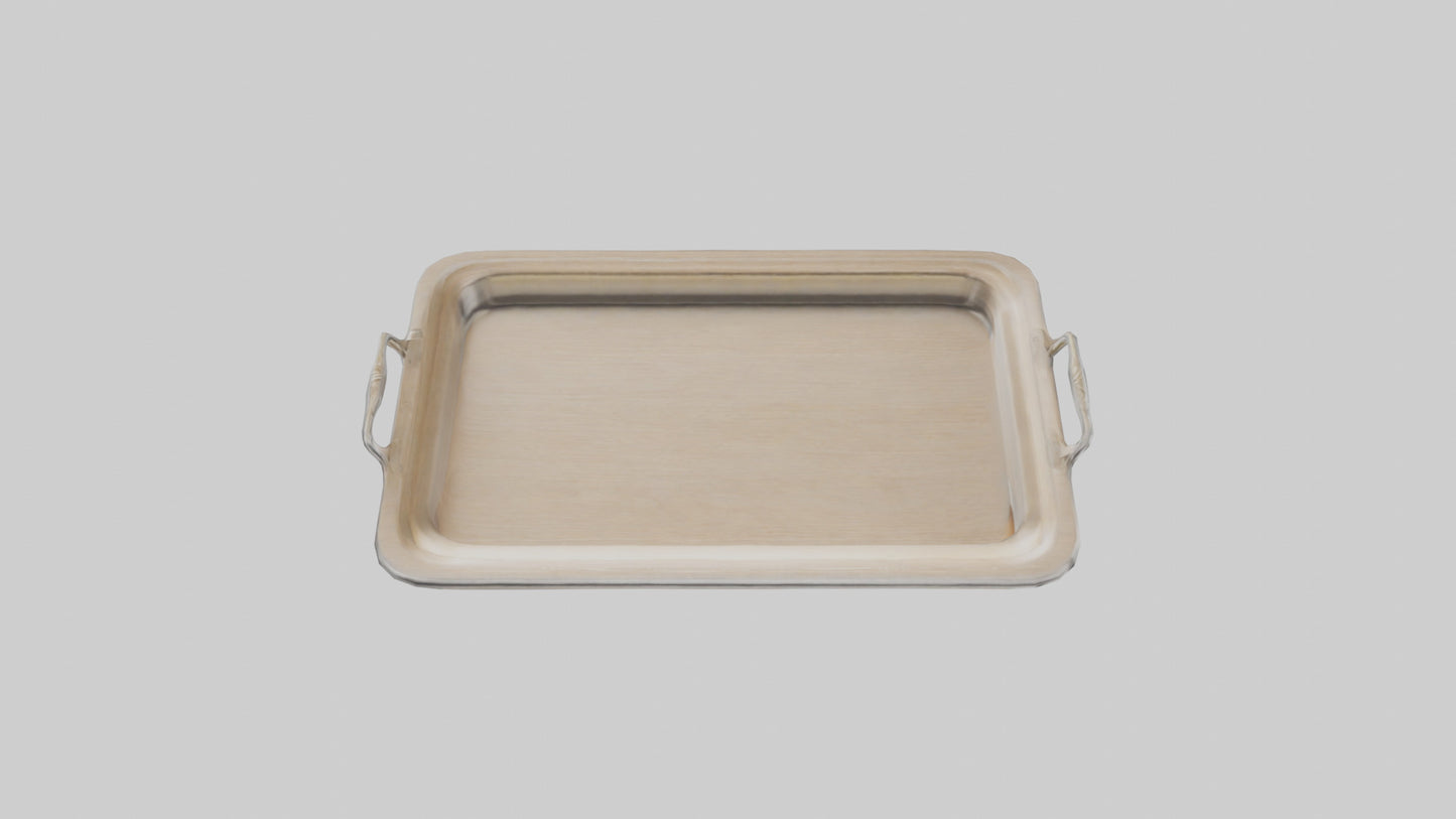 3D model Buffalo wings model VR / AR / low-poly