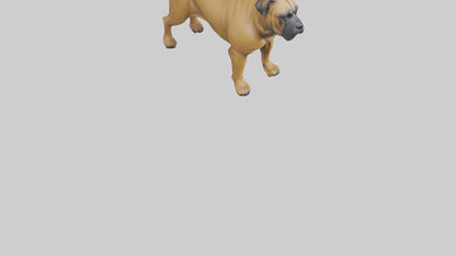 Bull Mastiff guarding model VR / AR / low-poly