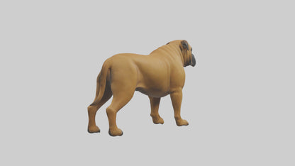 Bull Mastiff guarding model VR / AR / low-poly