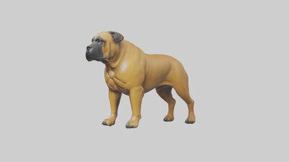Bull Mastiff guarding model VR / AR / low-poly
