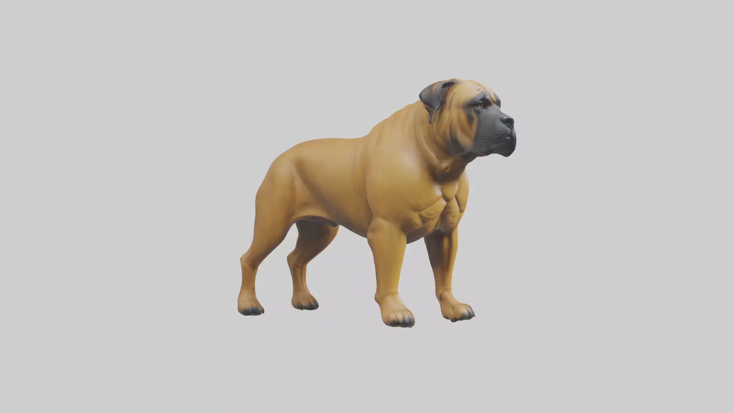 Bull Mastiff guarding model VR / AR / low-poly