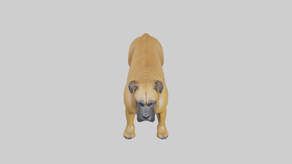 Bull Mastiff guarding model VR / AR / low-poly