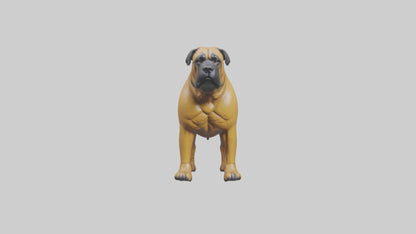 Bull Mastiff guarding model VR / AR / low-poly