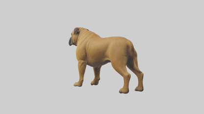 Bull Mastiff guarding model VR / AR / low-poly