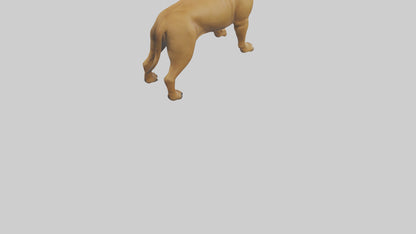 Bull Mastiff guarding model VR / AR / low-poly