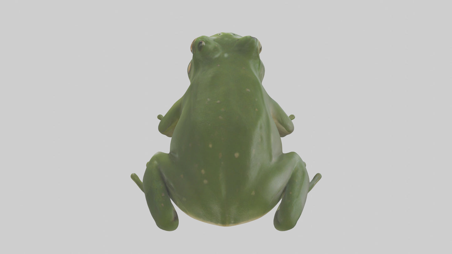 3D model Bullfrog croaking model VR / AR / low-poly