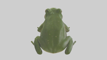 3D model Bullfrog croaking model VR / AR / low-poly