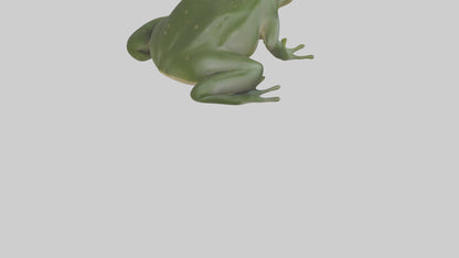 3D model Bullfrog croaking model VR / AR / low-poly