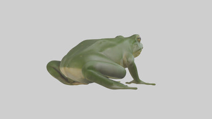 3D model Bullfrog croaking model VR / AR / low-poly