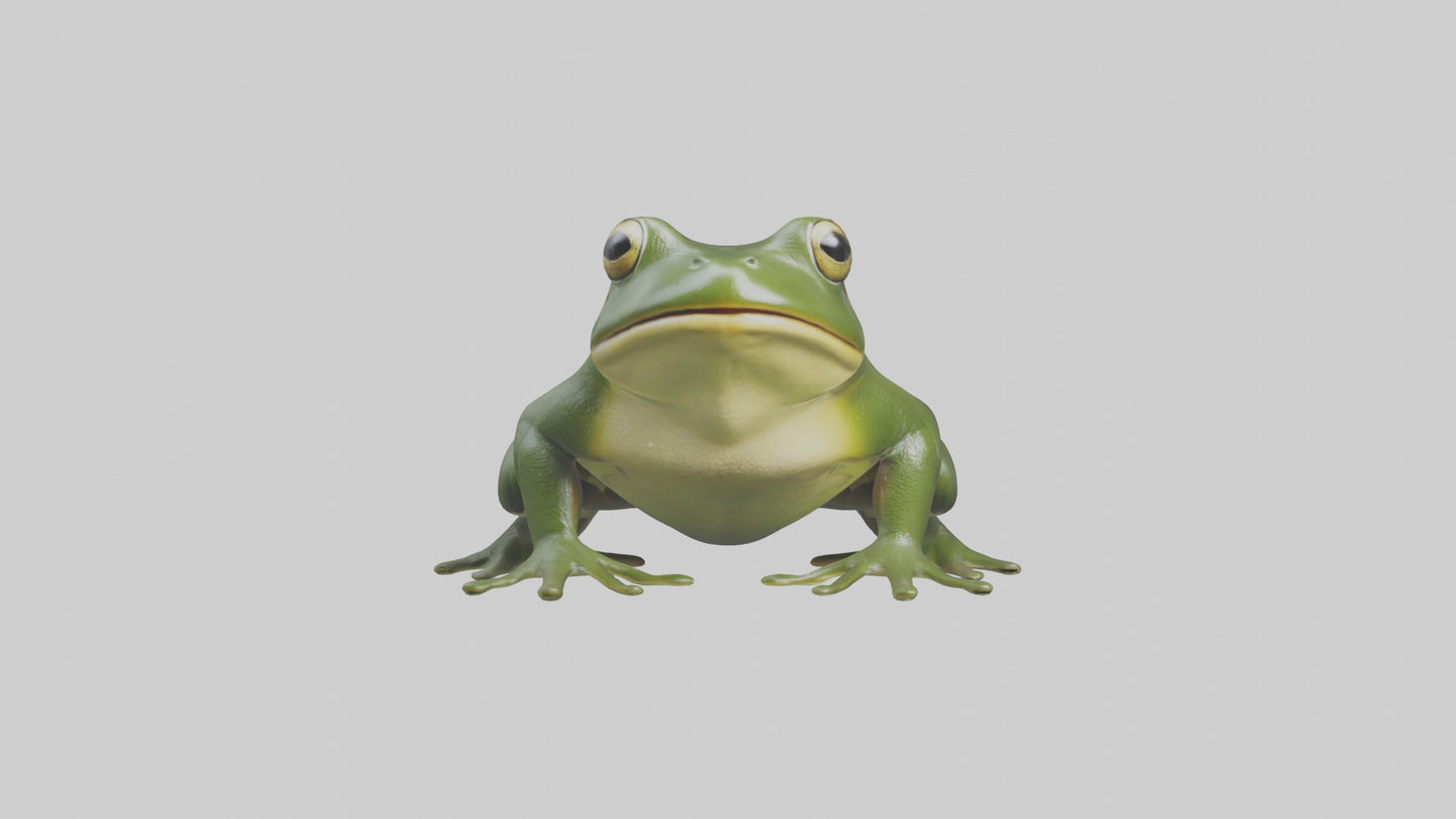 3D model Bullfrog croaking model VR / AR / low-poly