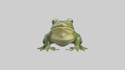 3D model Bullfrog croaking model VR / AR / low-poly