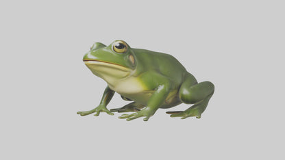 3D model Bullfrog croaking model VR / AR / low-poly
