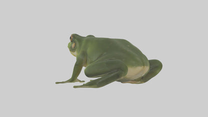 3D model Bullfrog croaking model VR / AR / low-poly