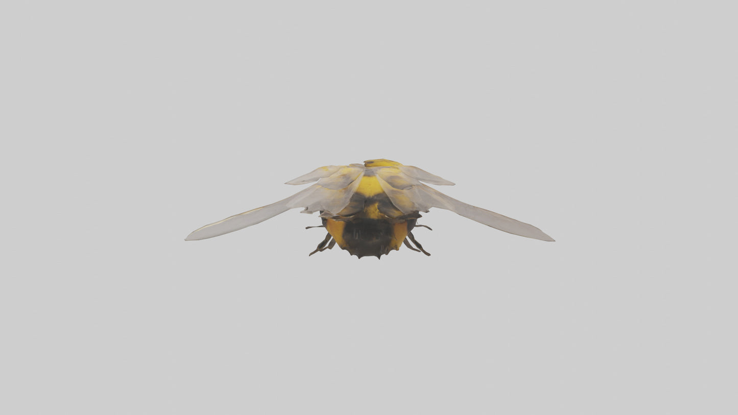 3D model Bumblebee perched model VR / AR / low-poly