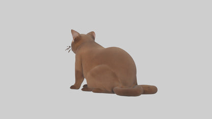 3D model Burmese Cat sitting model VR / AR / low-poly