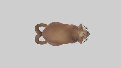 3D model Burmese Cat sitting model VR / AR / low-poly