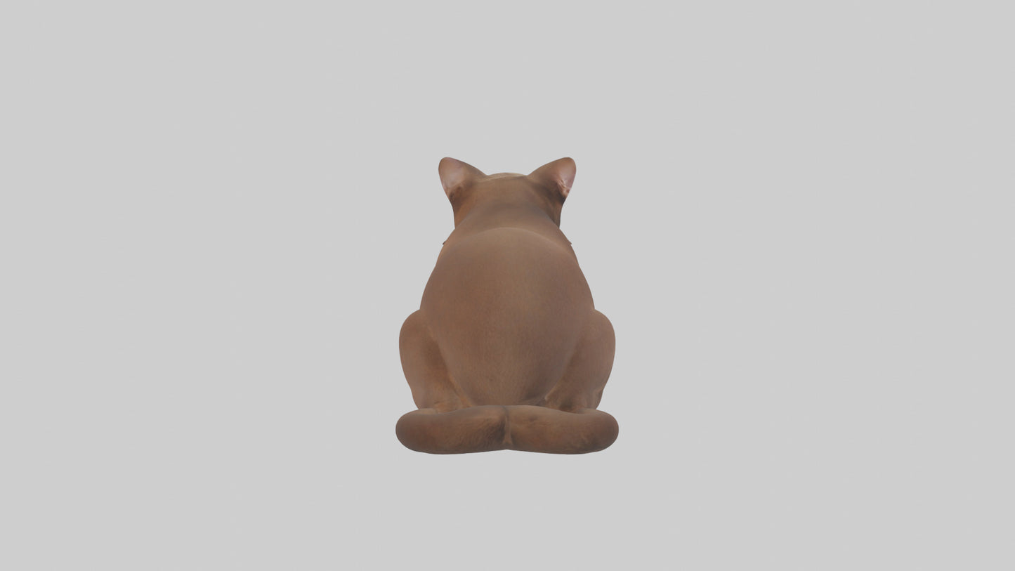 3D model Burmese Cat sitting model VR / AR / low-poly