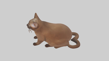3D model Burmese Cat sitting model VR / AR / low-poly