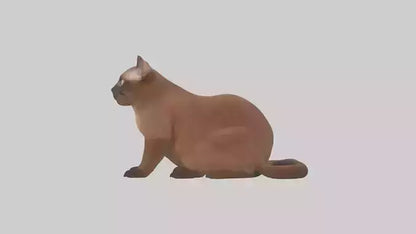 3D model Burmese Cat sitting model VR / AR / low-poly