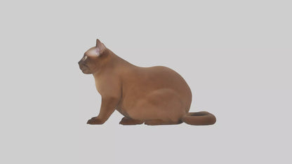 3D model Burmese Cat sitting model VR / AR / low-poly