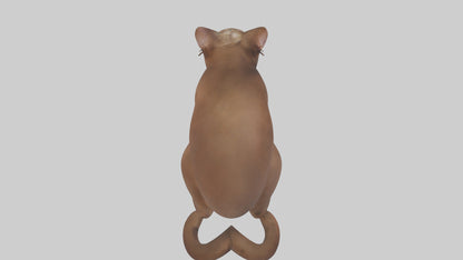 3D model Burmese Cat sitting model VR / AR / low-poly