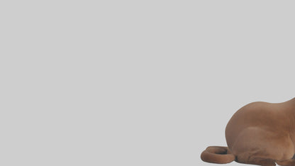 3D model Burmese Cat sitting model VR / AR / low-poly