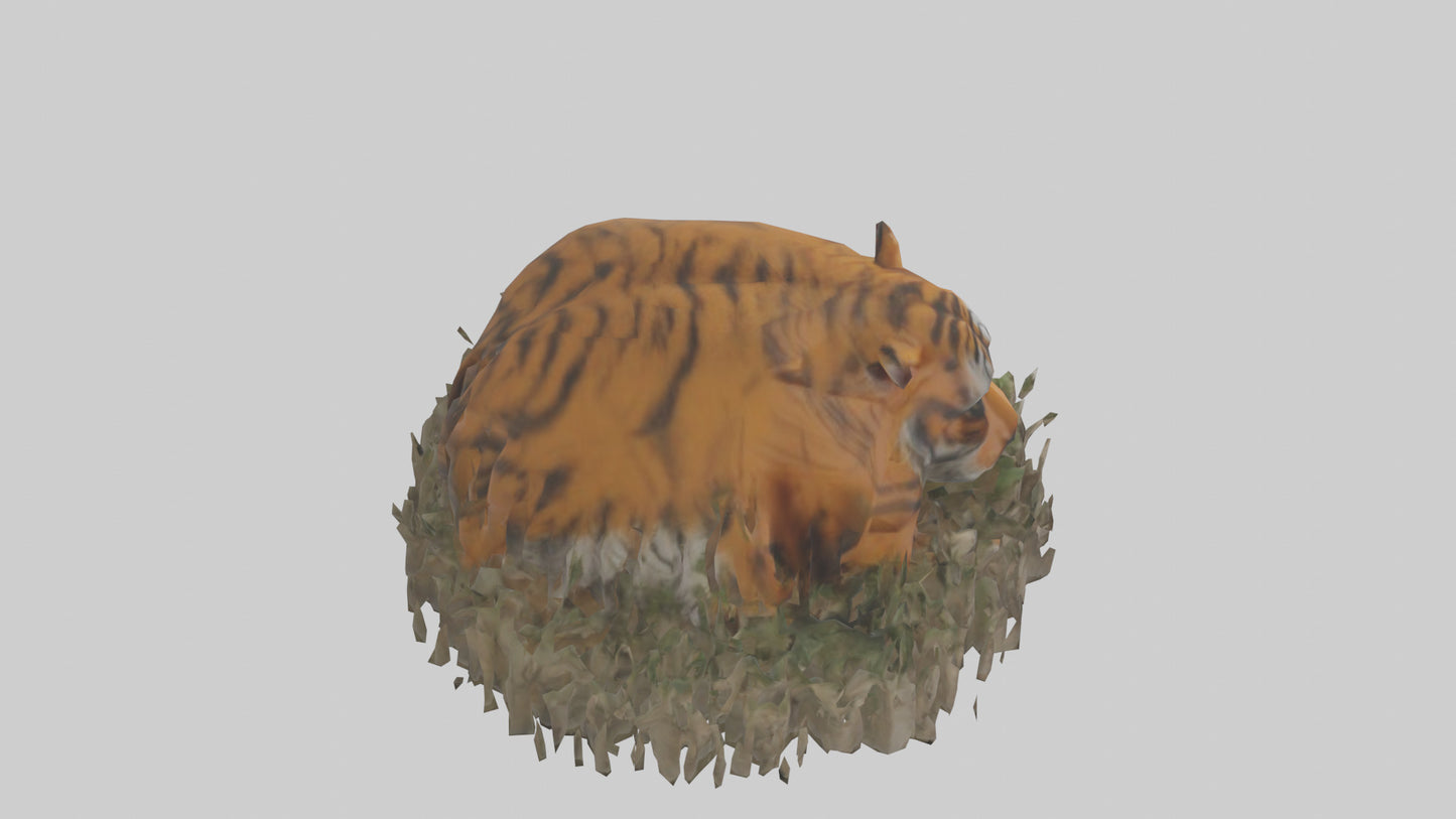 Burmese Python coiled model VR / AR / low-poly