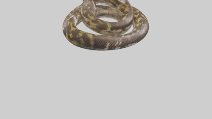Burmese Python coiled model VR / AR / low-poly
