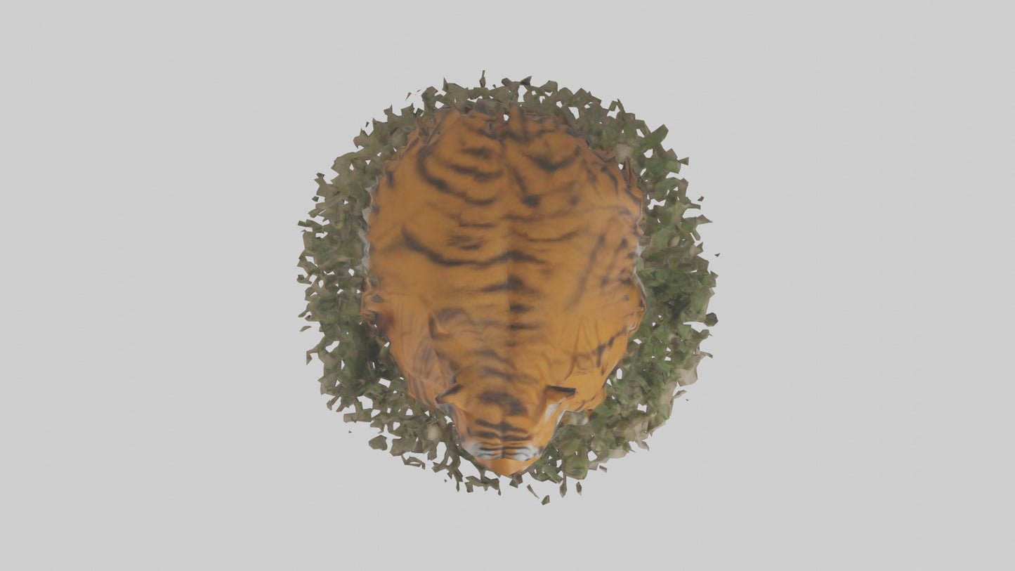 Burmese Python coiled model VR / AR / low-poly