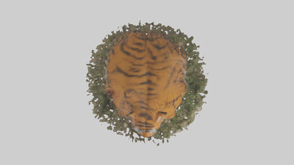 Burmese Python coiled model VR / AR / low-poly