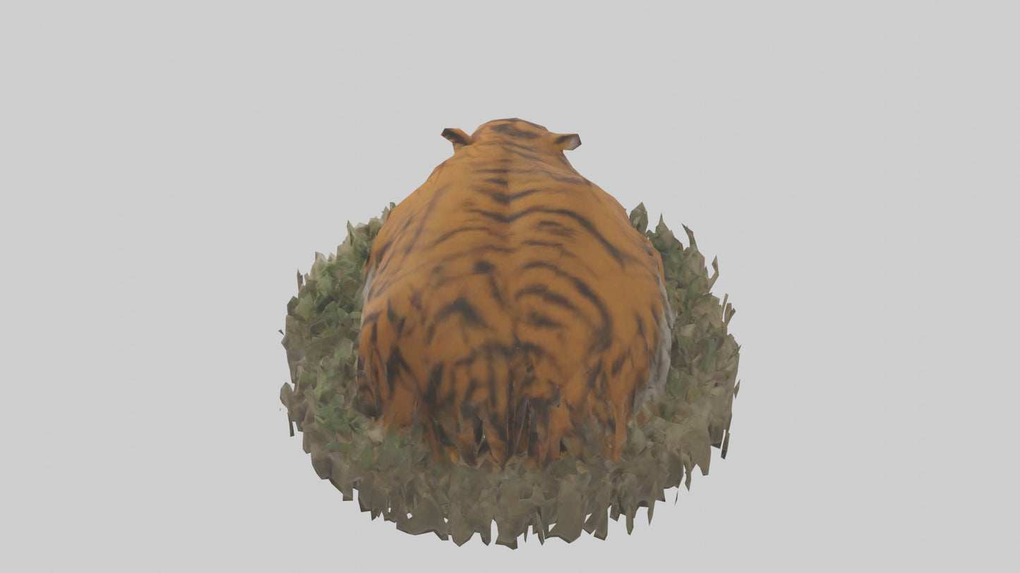 Burmese Python coiled model VR / AR / low-poly