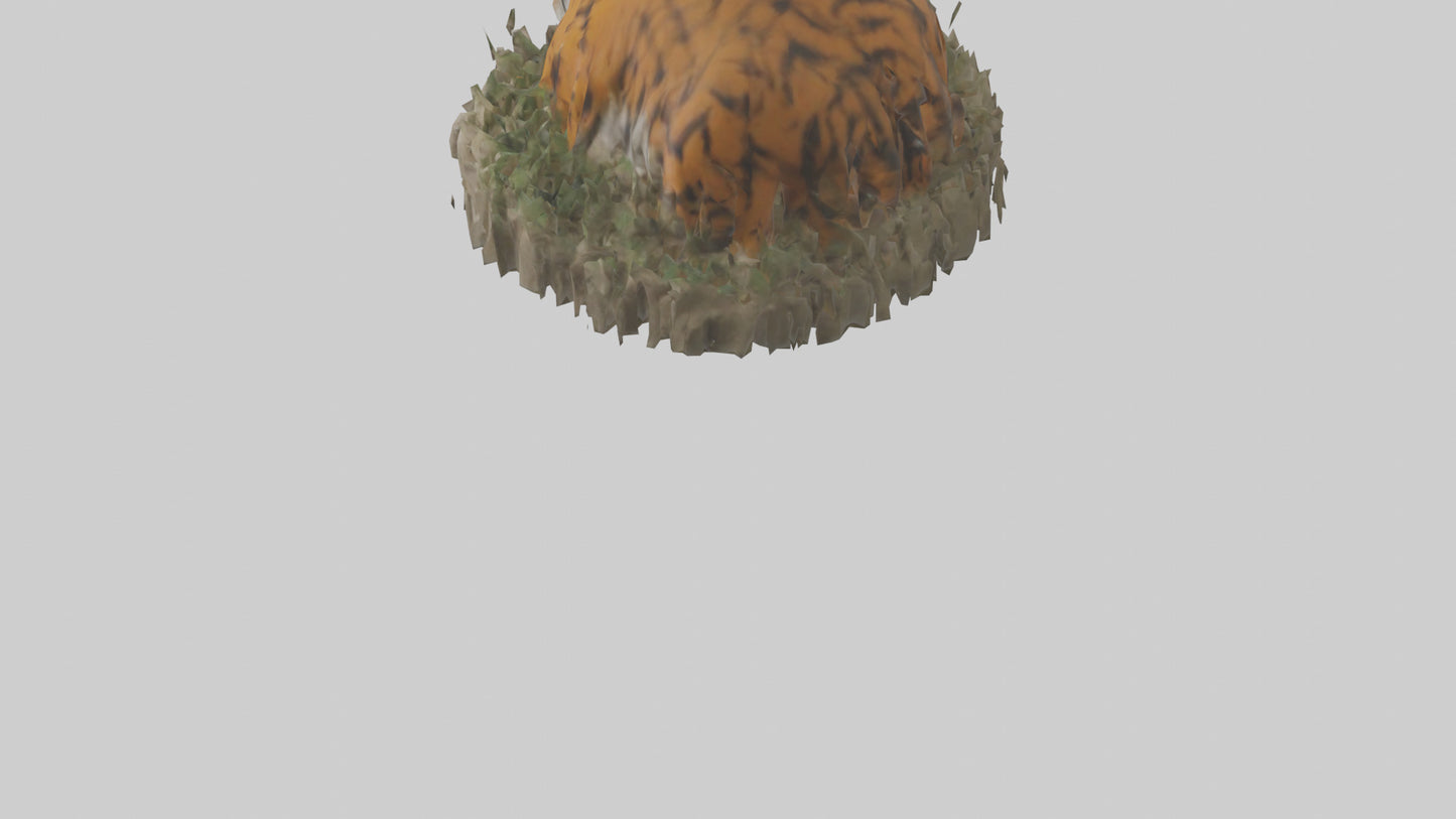 Burmese Python coiled model VR / AR / low-poly