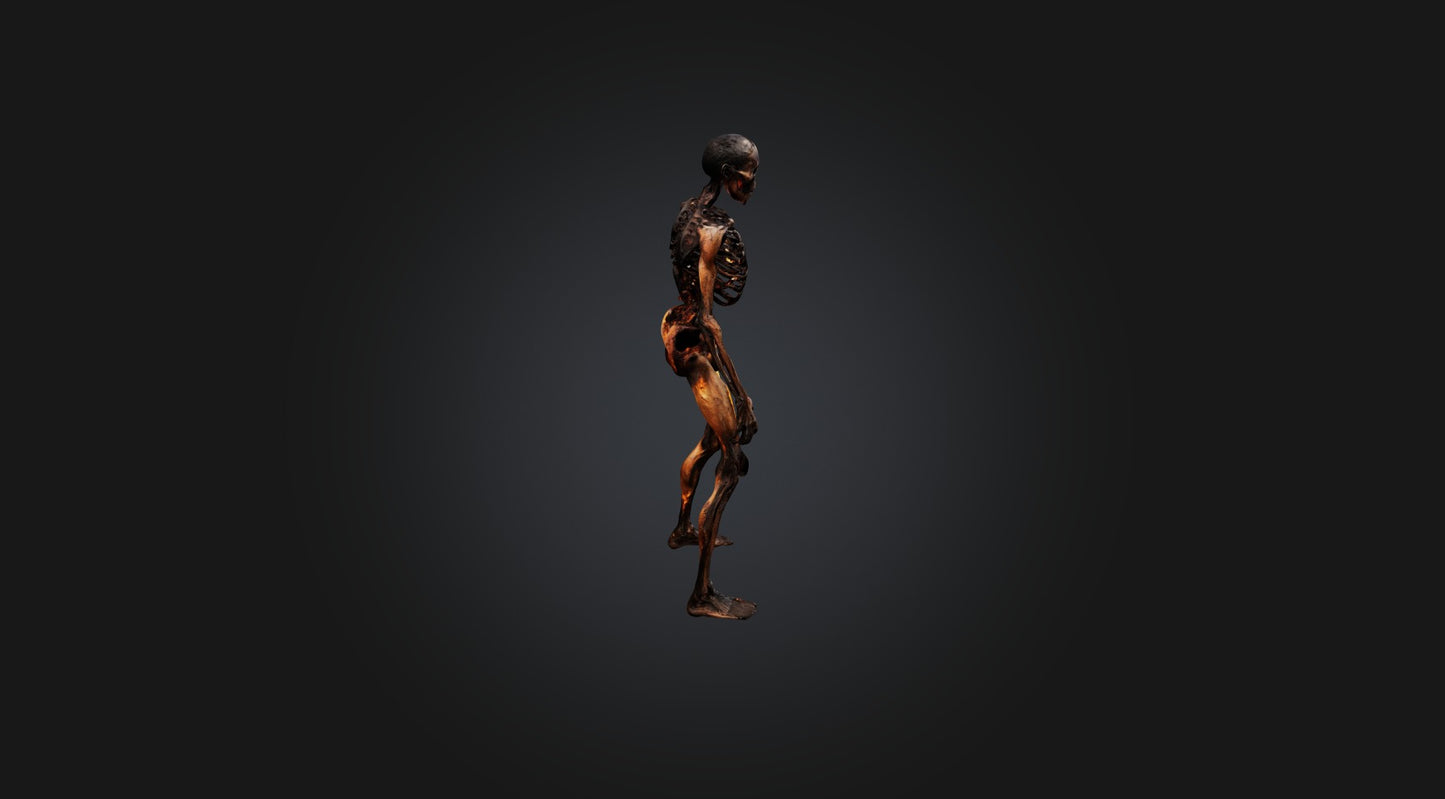 3D model burnt human body  VR / AR / low-poly